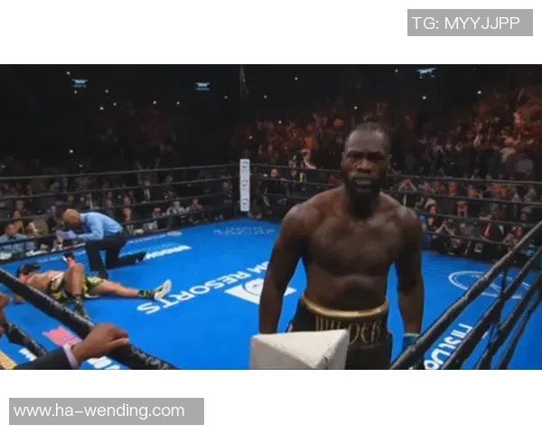 阿根廷与美国激战第四节精彩瞬间回顾与分析